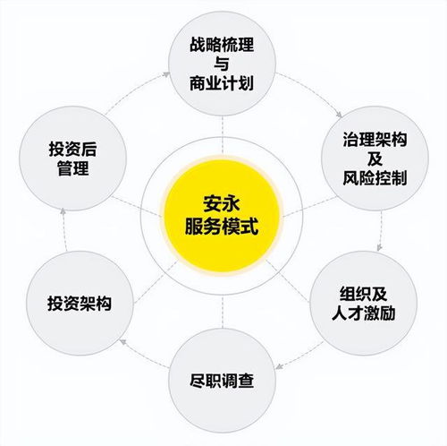 借力资本，重塑价值 不良资产管理组织模式创新研究