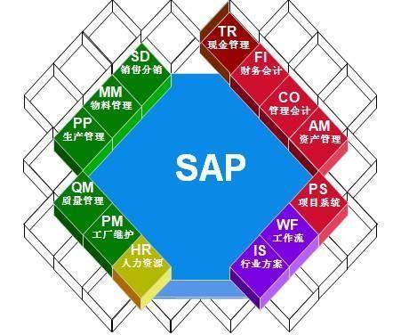 国内外软件寿命分析及其在资产管理中的应用